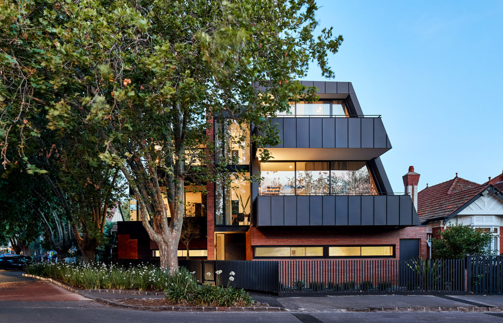These Chaucer Street townhouses snuggle up to the enormous trees. Photo: Peter Bennetts