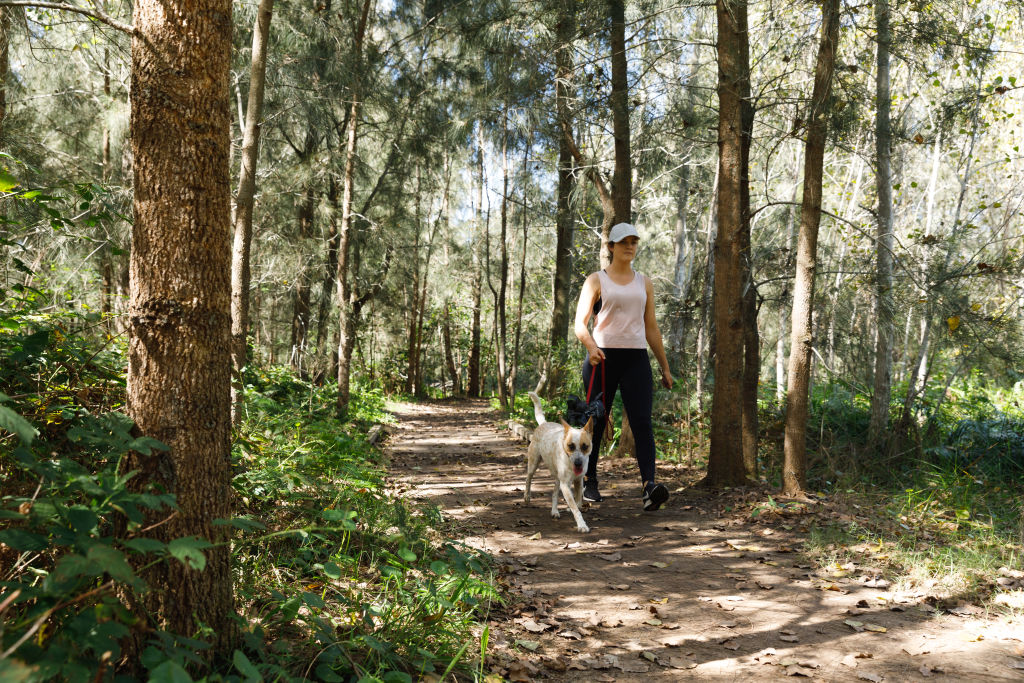 House hunters from the north shore are often drawn to Warriewood for its leafy pockets. Photo: Steven Woodburn