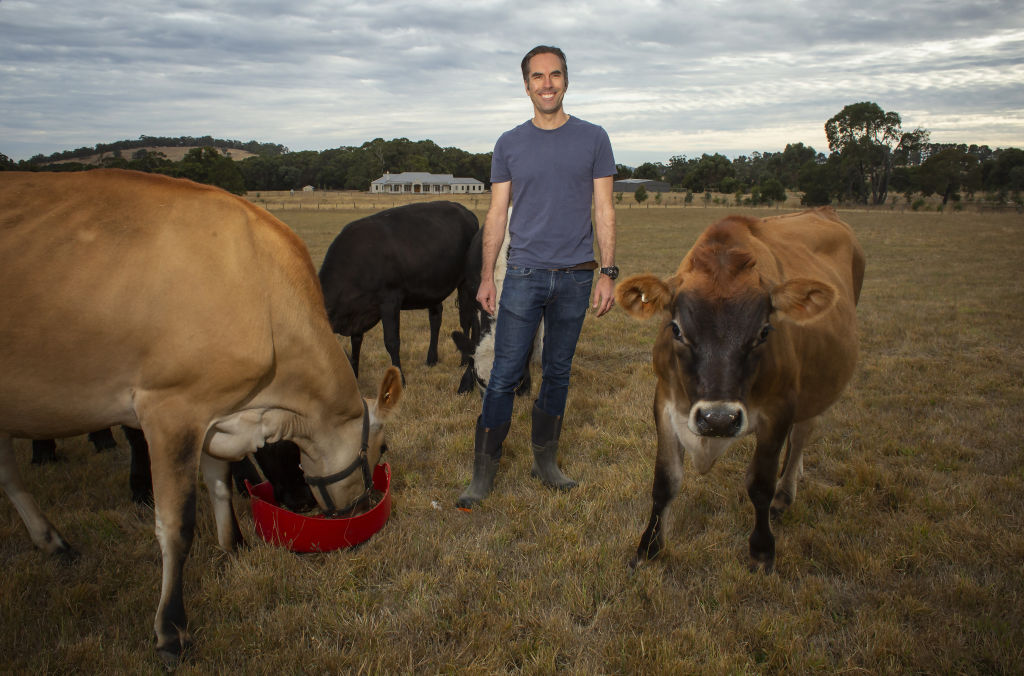 Mike with some of his cattle. Bryan is on the right. Photo: Stephen McKenzie