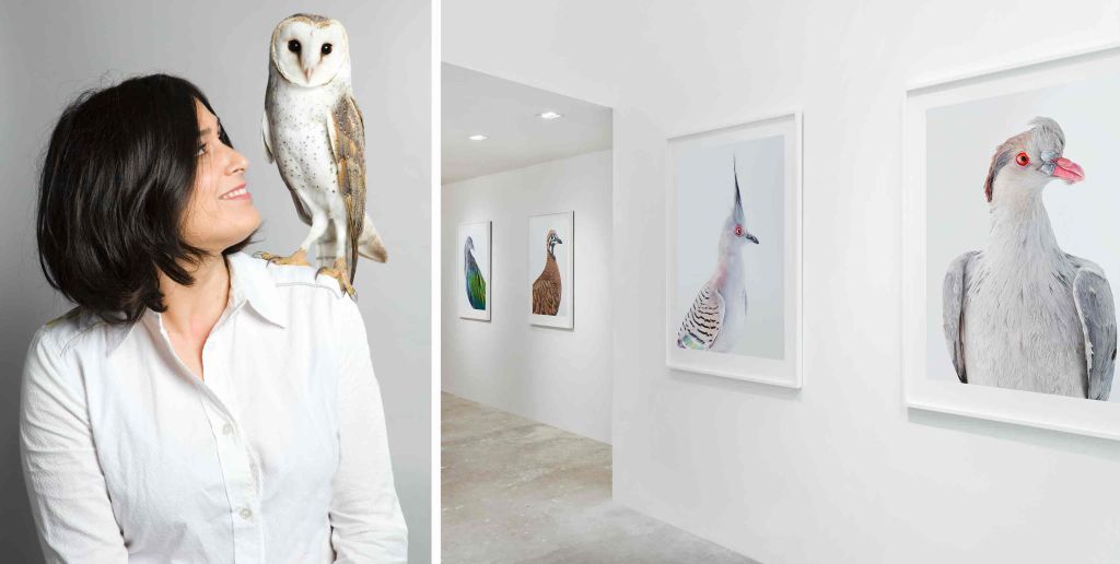 The artist who turned an 'obsession' with animals into evocative art