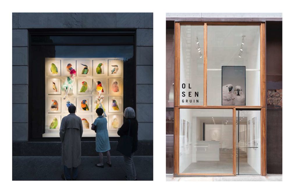 Left: Leila Jeffreys' exhibition at Bergdorf Goodman, NYC. Right: Her Ornithurae exhibition at Olsen Gruin Gallery, NYC. Photo: Supplied