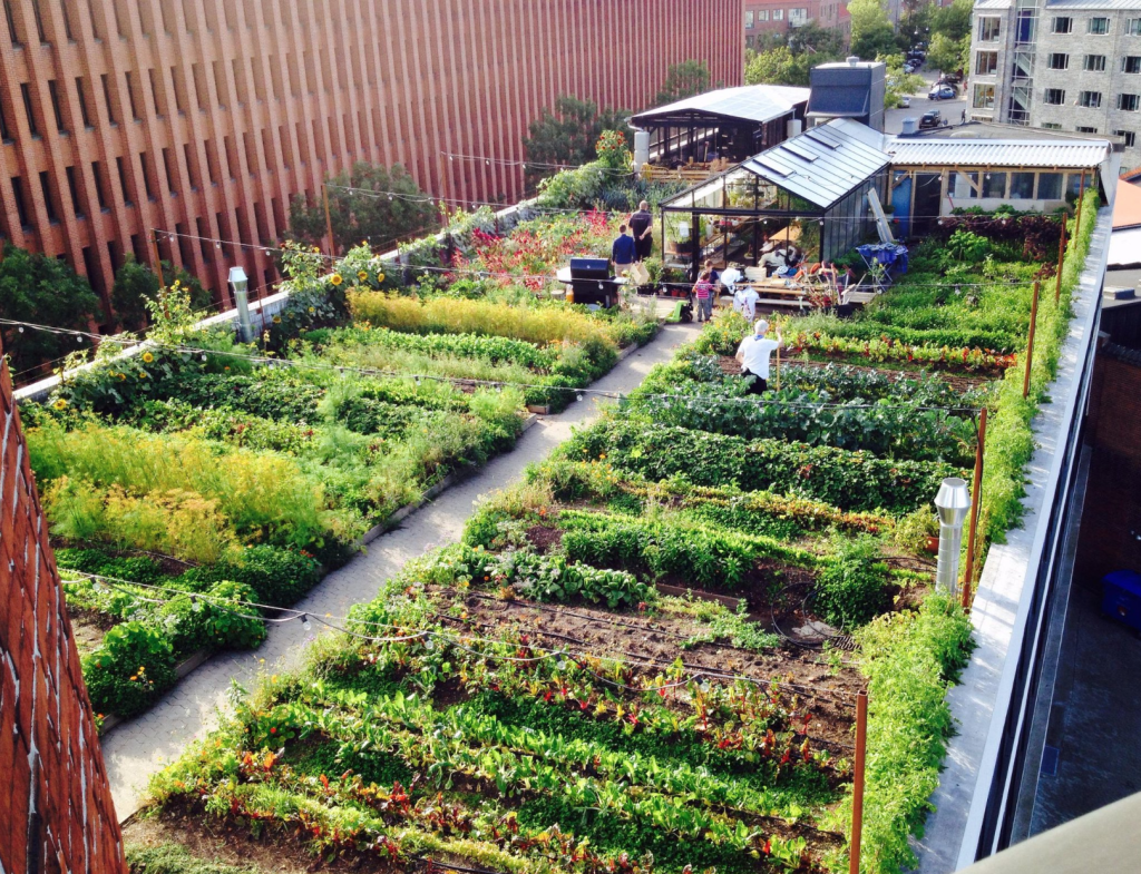 A moveable feast: Six inspiring urban farms around the world