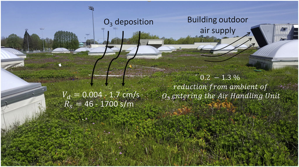 An image taken from  the pilot study on the impact of green roofs on ozone levels near building ventilation air supply, depicting the findings.  Photo: Science Direct - Building and Environment journal
