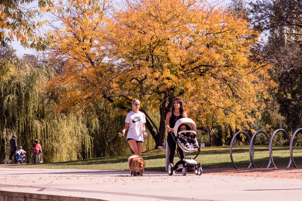 Easy access to parks and open spaces encourages physical activity. Photo: Leigh Henningham