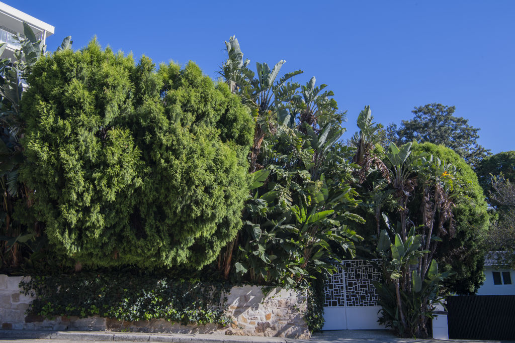 Mike Cannon-Brookes' latest Point Piper purchase. Photo: Louise Kennerley