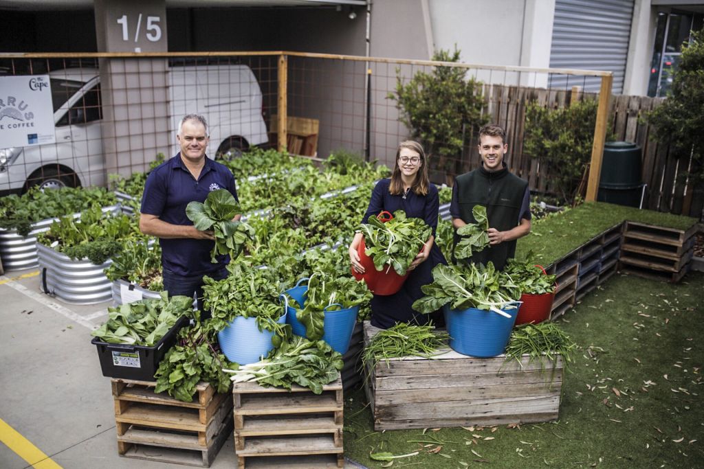 Produce grown in the Skyfarm test farm. Brendan Condon is on the left. Photo: Skyfarm