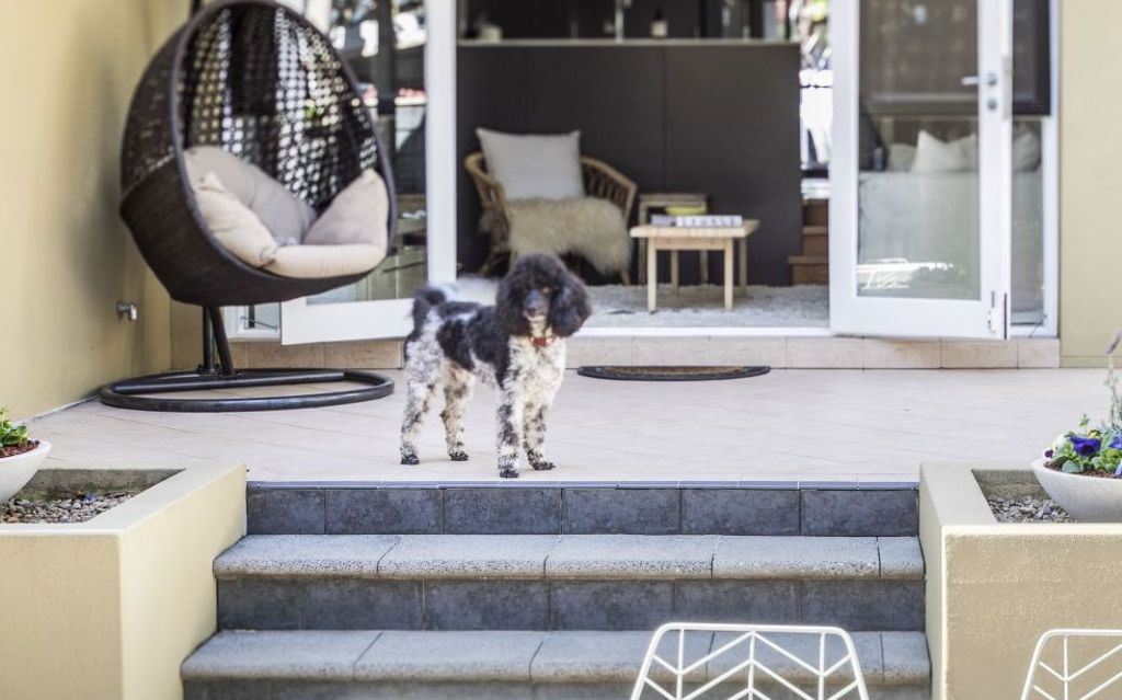 Apartments or townhouses with large balconies or courtyards will appeal to pet owners.