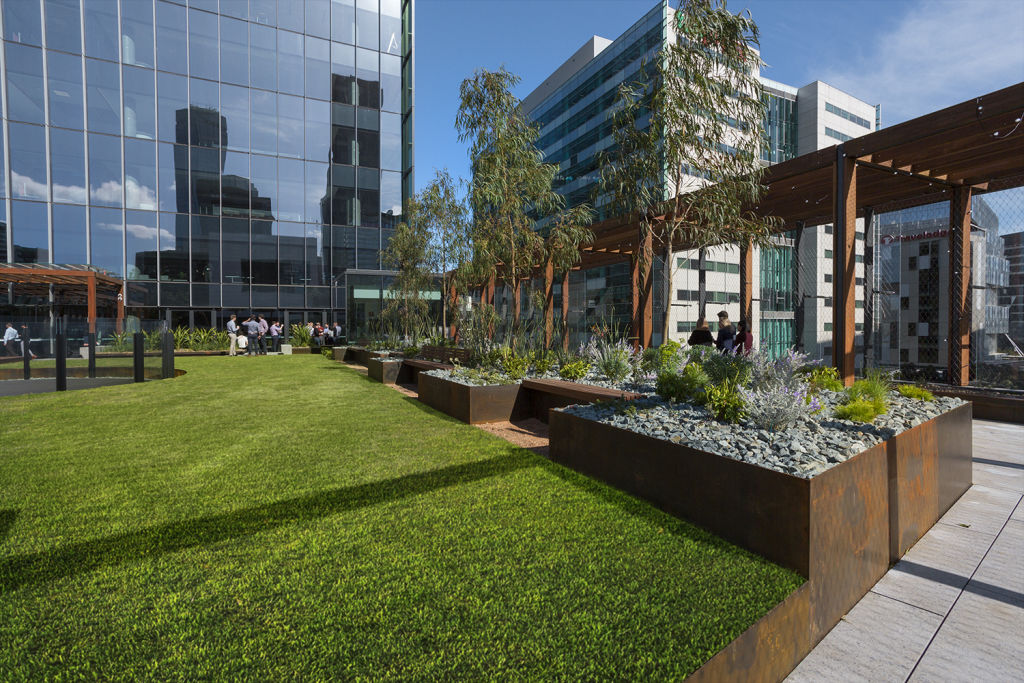 Green space in and around office buildings is producing healthy workers