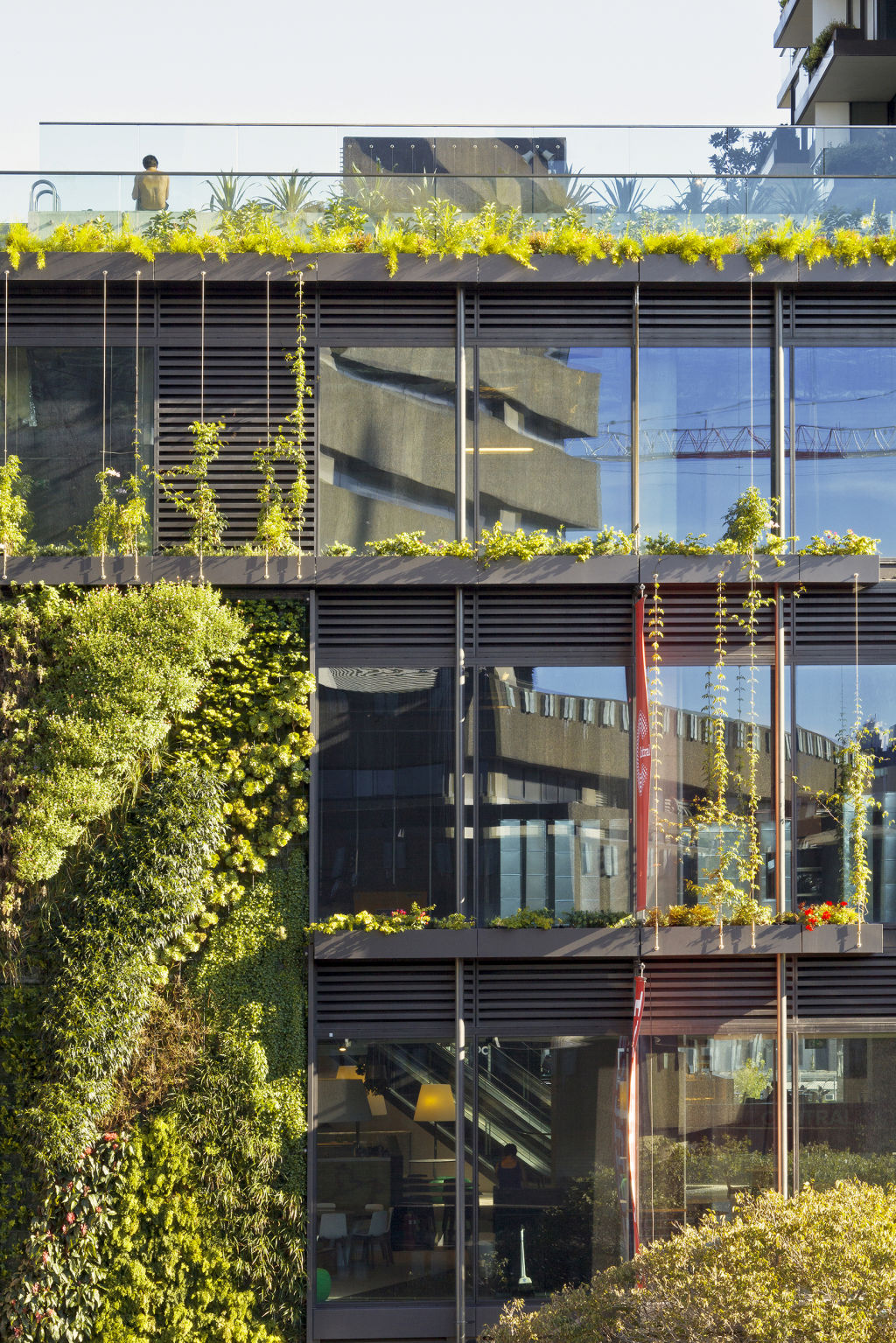 One Central Park, in Sydney, features 2700 linear planter boxes on balconies, internal sloping green wall, lush vertical facade gardens as well as podium and sky gardens. Photo: Supplied