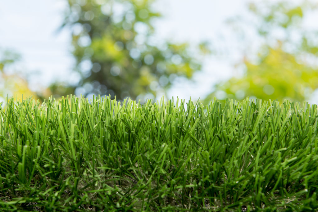 It’s beneficial to have about 200 millimetres of sandy loam soil for grass as this allows for good drainage. Photo: iStock