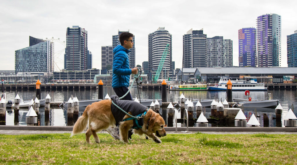Docklands has become a popular place for people looking for a work-home. Photo: Leigh Henningham
