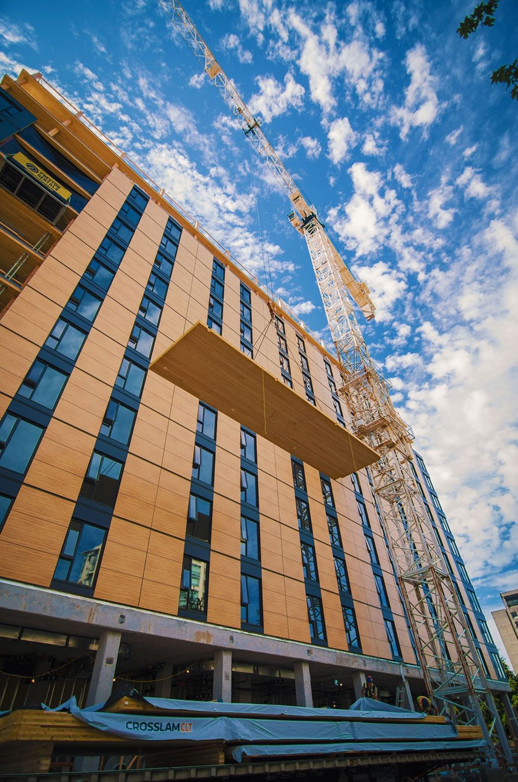 Timber is lighter and easier to handle, creating efficiencies in the building process.  Photo: Supplied