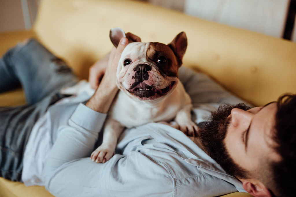 It turns out that I am a dog person after all – maybe it really is in my DNA. Photo: iStock