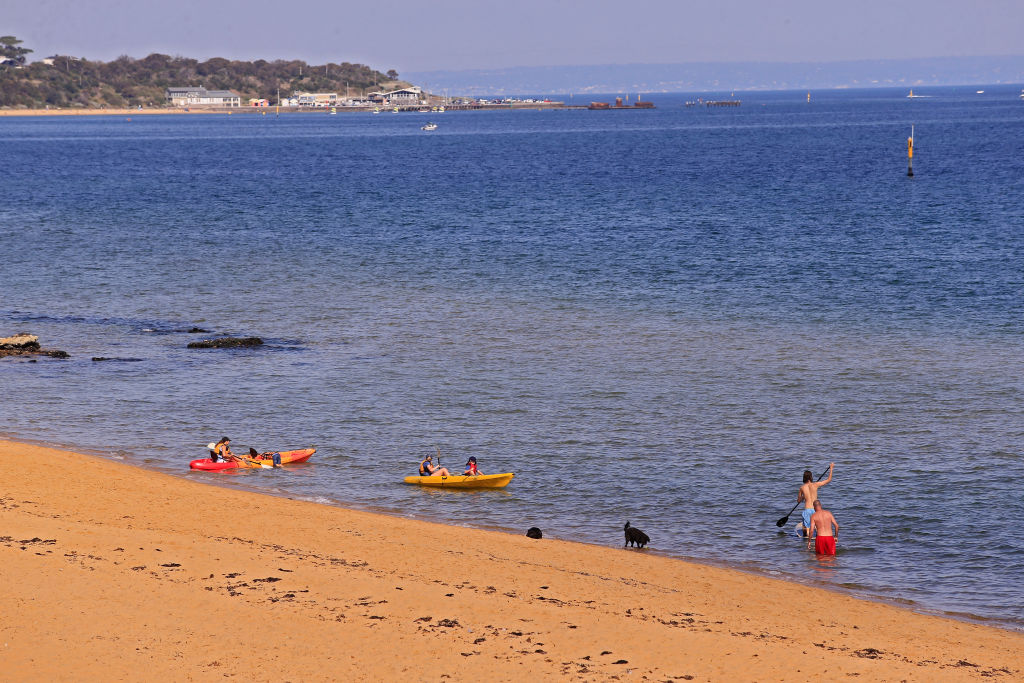 The family-friendly beach at Sandringham, where award-winning journalist Corrie Perkin grew up. Photo: Wayne Taylor