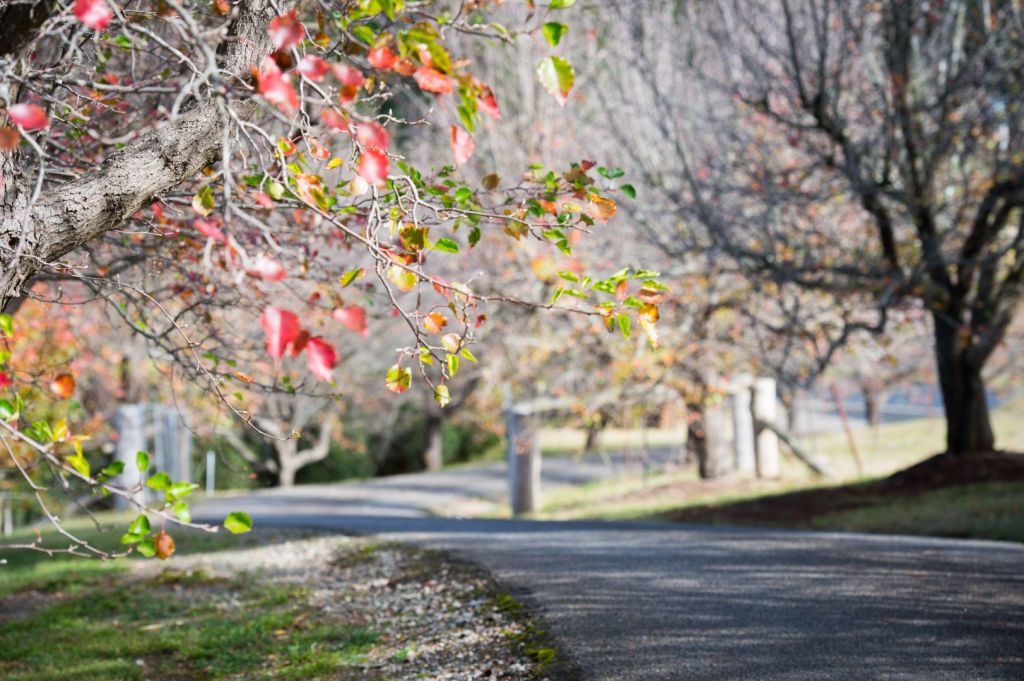 Moss Vale scenery in the cooler months. Photo: Campbell Jones Property Bowral