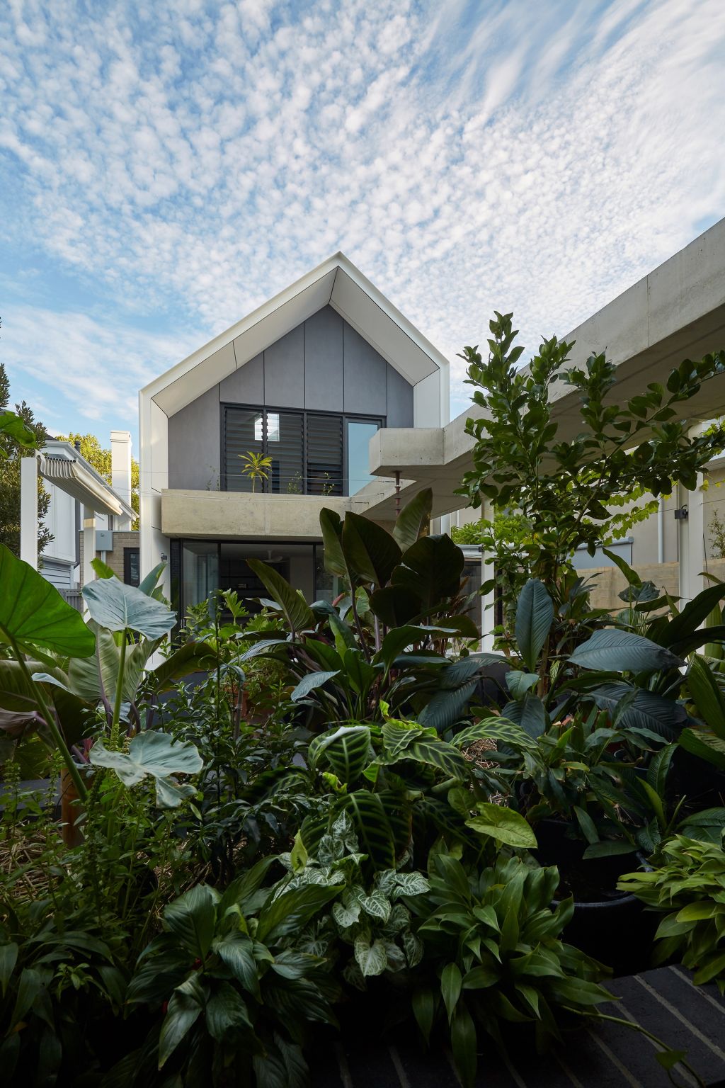 Greenery was prioritised by Carrier and Postmus Architecture. Photo: Douglas Mark Black