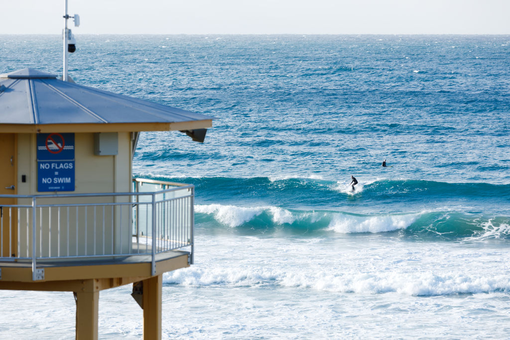 Local Alex Edwards describes Cronulla as a calm, beautiful place to live. Photo: Steven Woodburn