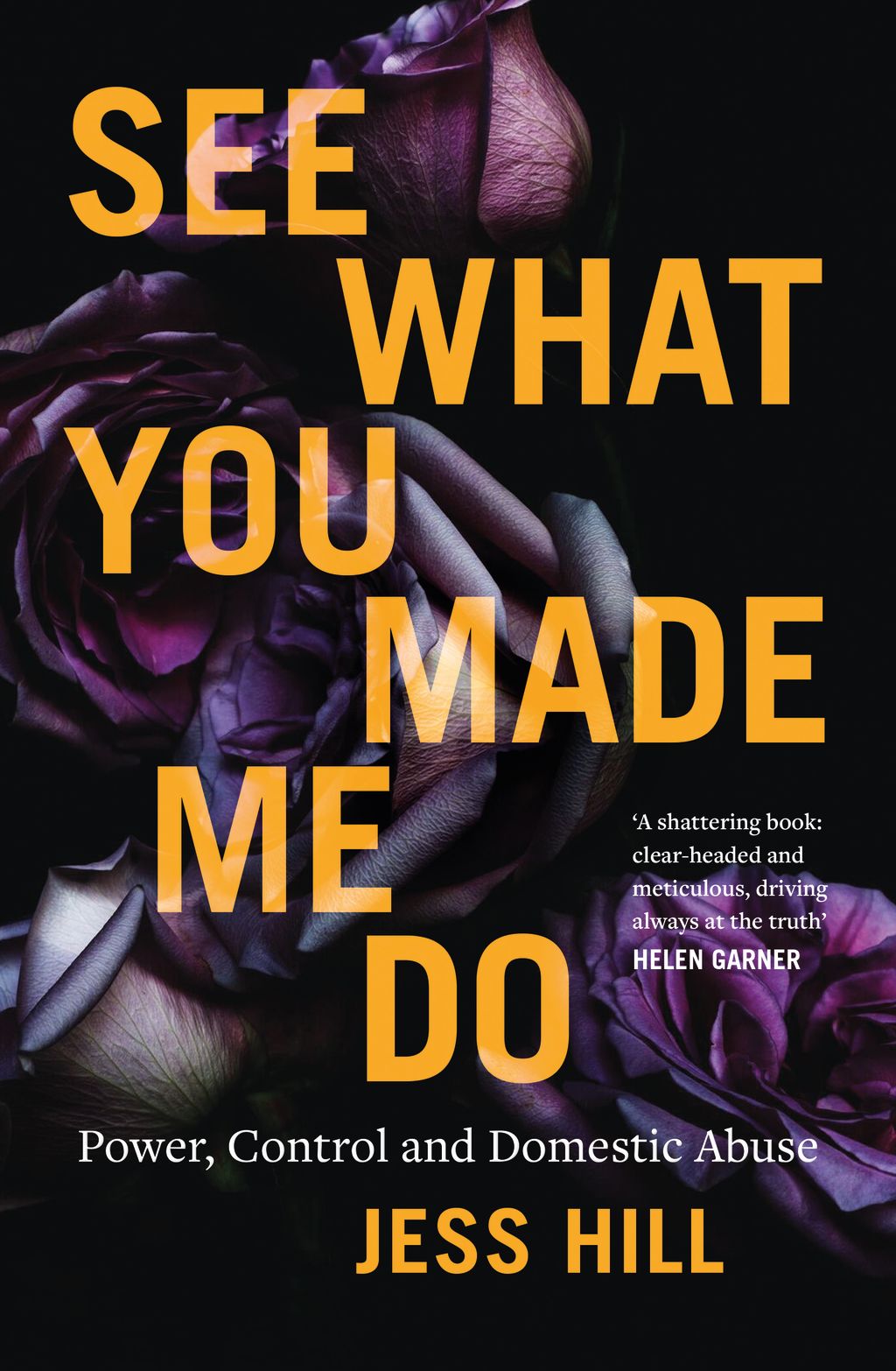 Jess Hill's book 'See What You Made Me Do'. Photo: Supplied