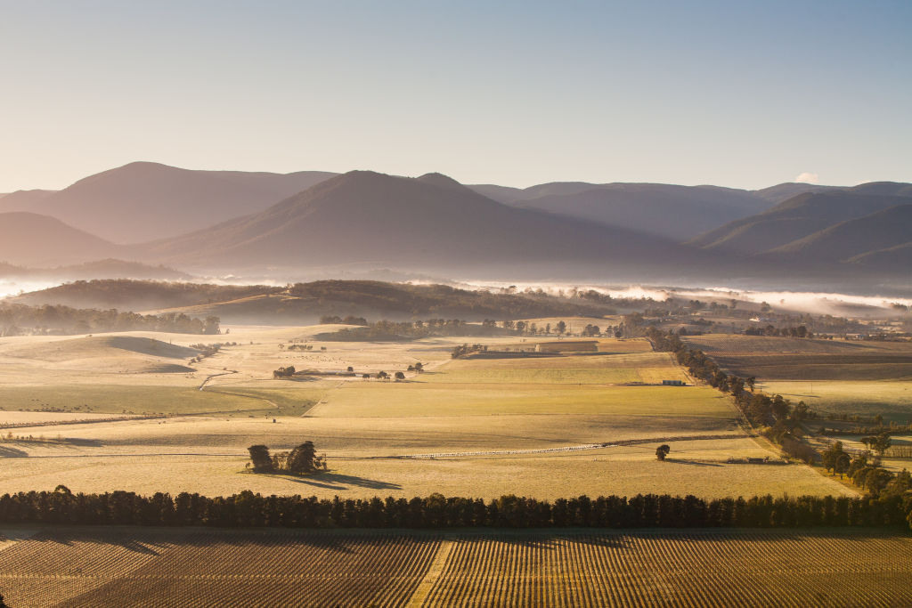 The Yarra Valley. Photo: iStock