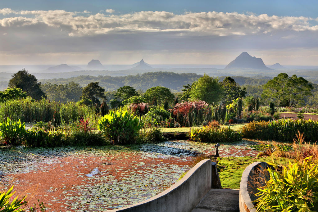 Infrastructure, Hamptons-style cool and sheer natural beauty are said to influence buyer behaviour. Image: Maleny Botanical Gardens. Photo: Visit Sunshine Coast