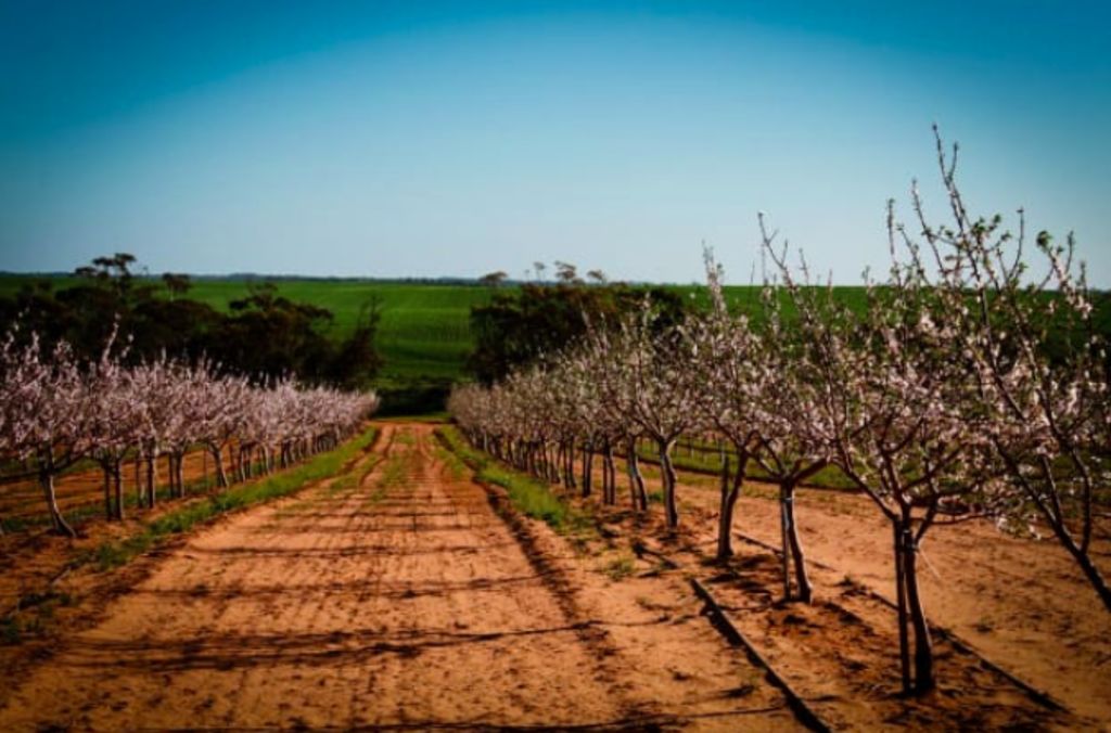 Foreign investment in farmland 'overstated': Rabobank