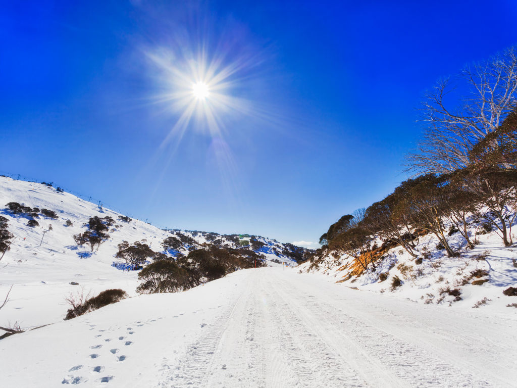 Manning recently returned from a riding trip in the Snowy Mountains with his sister and niece. Photo: Taras Vyshnya / Alamy Stock Photo