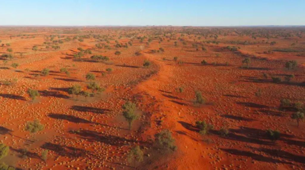 Monster truck-loving sheikh to offload Aussie cattle station