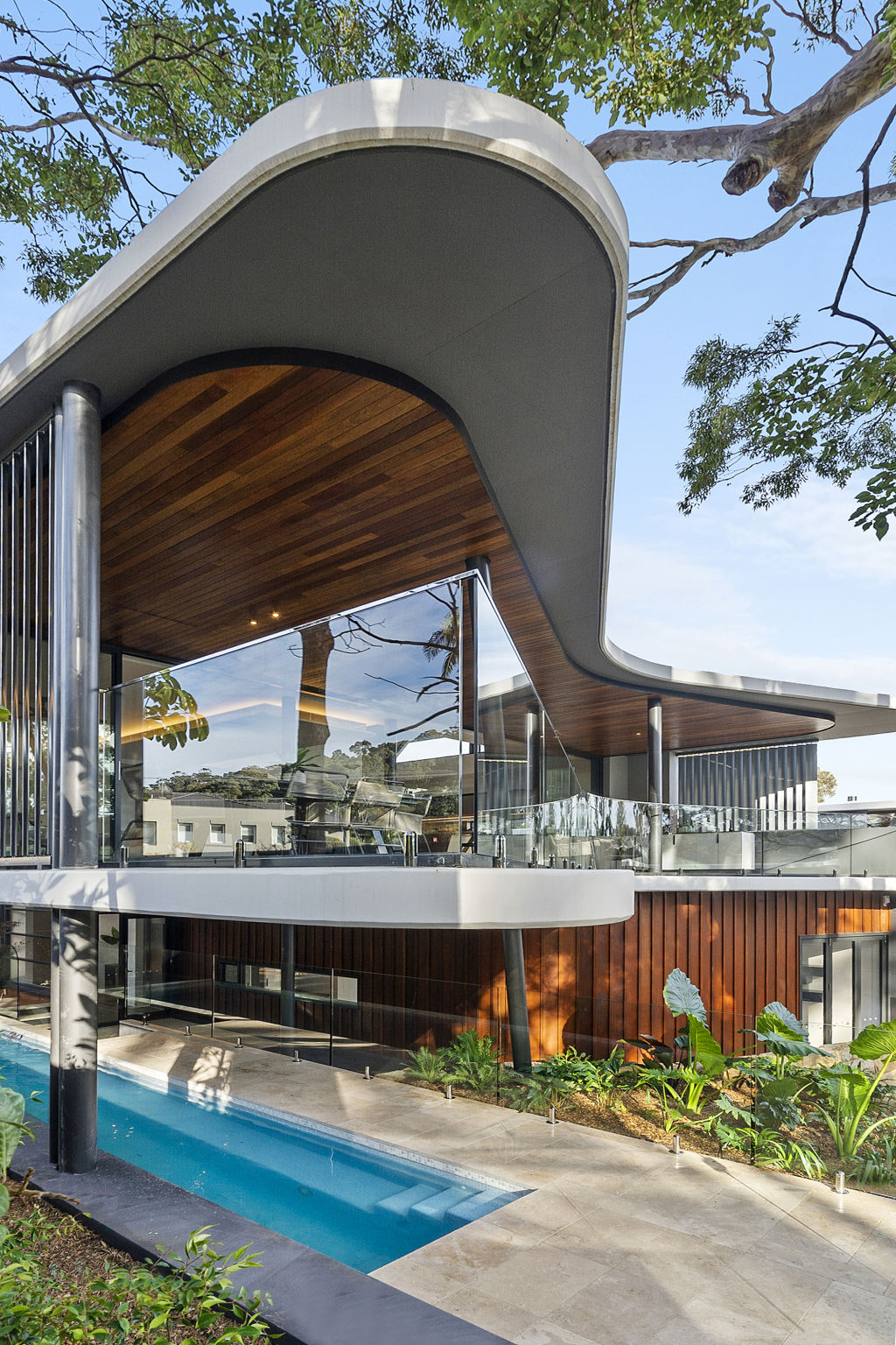 The roof and balcony are shaped in a way that reflects the root ball of a spotted gum. Photo: Supplied