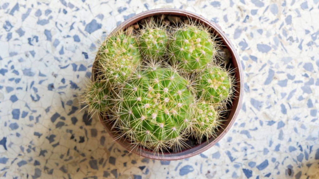 Terrazzo is a subtle way to add colour to your decor. Photo: iStock