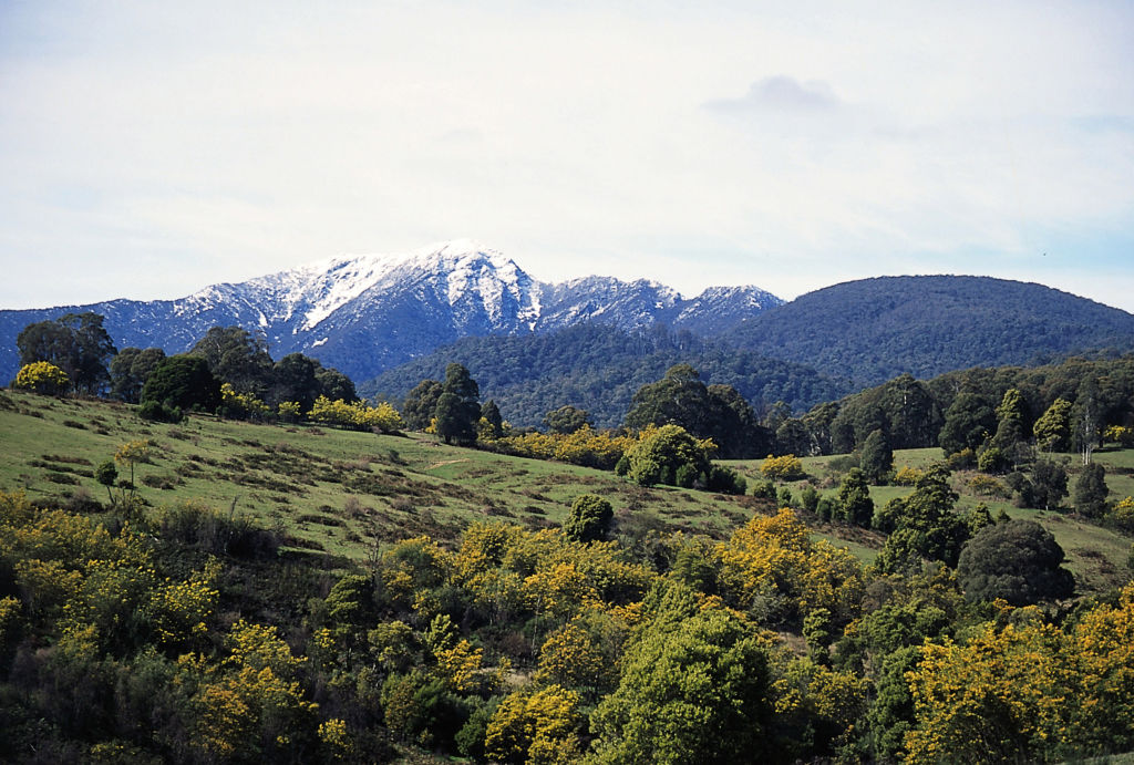 day trips from mansfield victoria