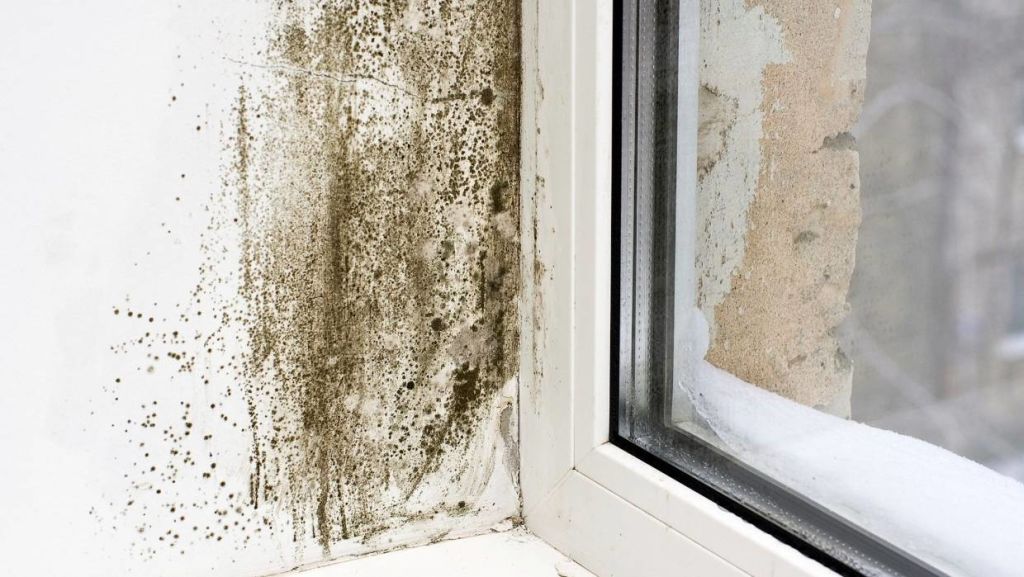 A small patch of mould on the surface could signal worse issues inside the wall. Photo: Stuff