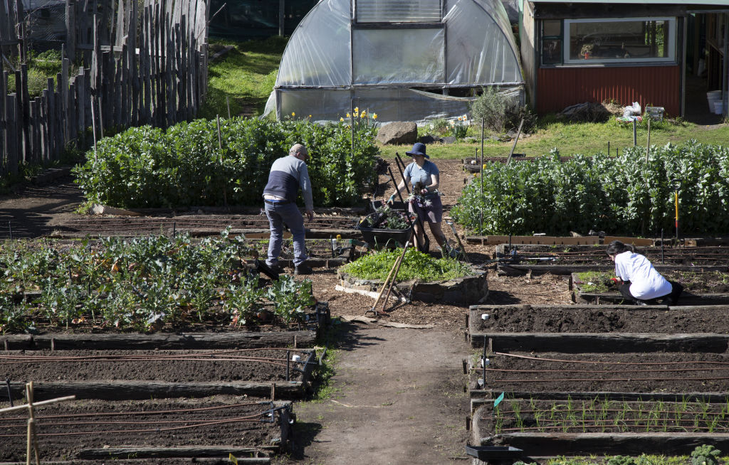 The suburb where gentrification was always going to come knocking