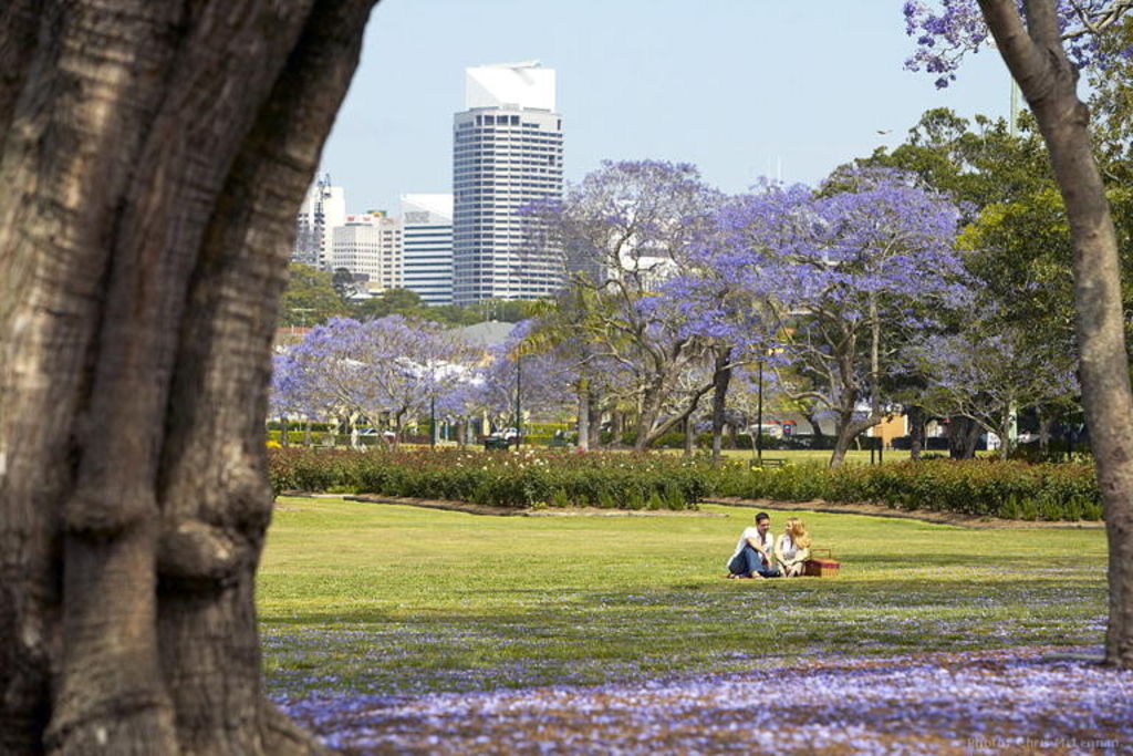 Parks, such as this one in New Farm, are one of the features buyers like about the inner east. Photo: Tourism and Events Queensland