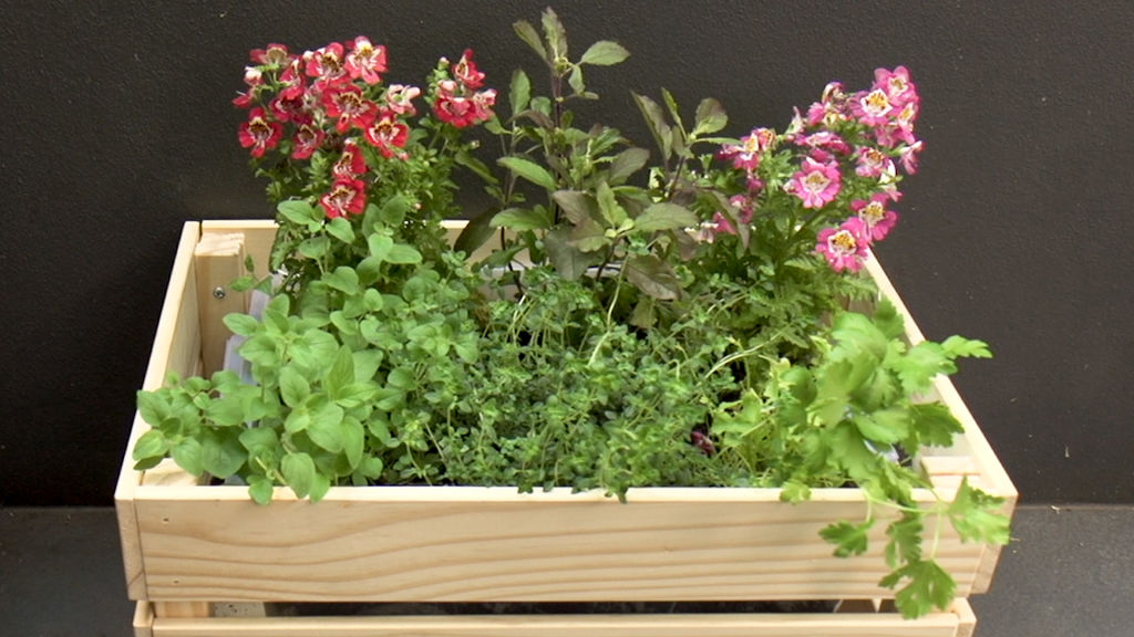 Diy How To Make A Self Watering Herb Planter Box