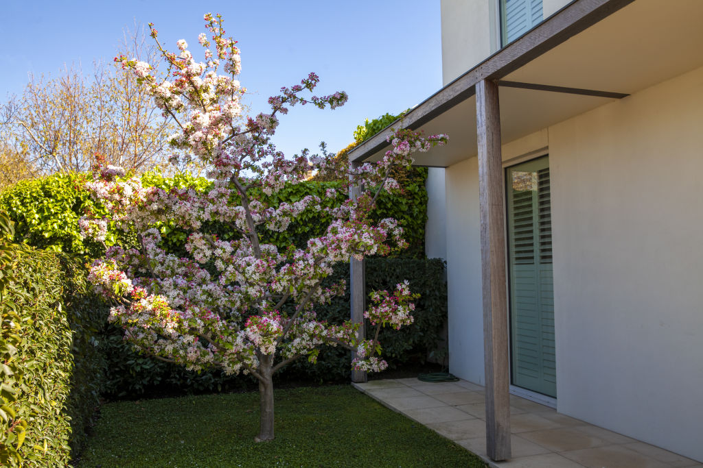 Paul Bangay's Stonefields in spring Photo: Simon Griffiths