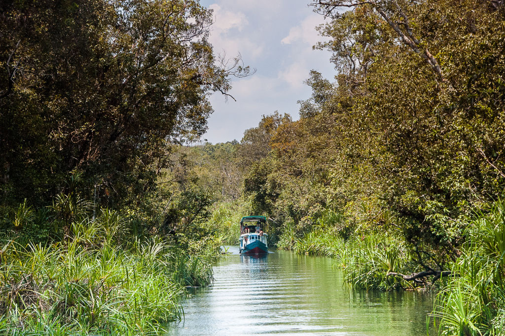 Tanjung Puting National Park in Central Kalimantan, Indonesia. Photo: iStock