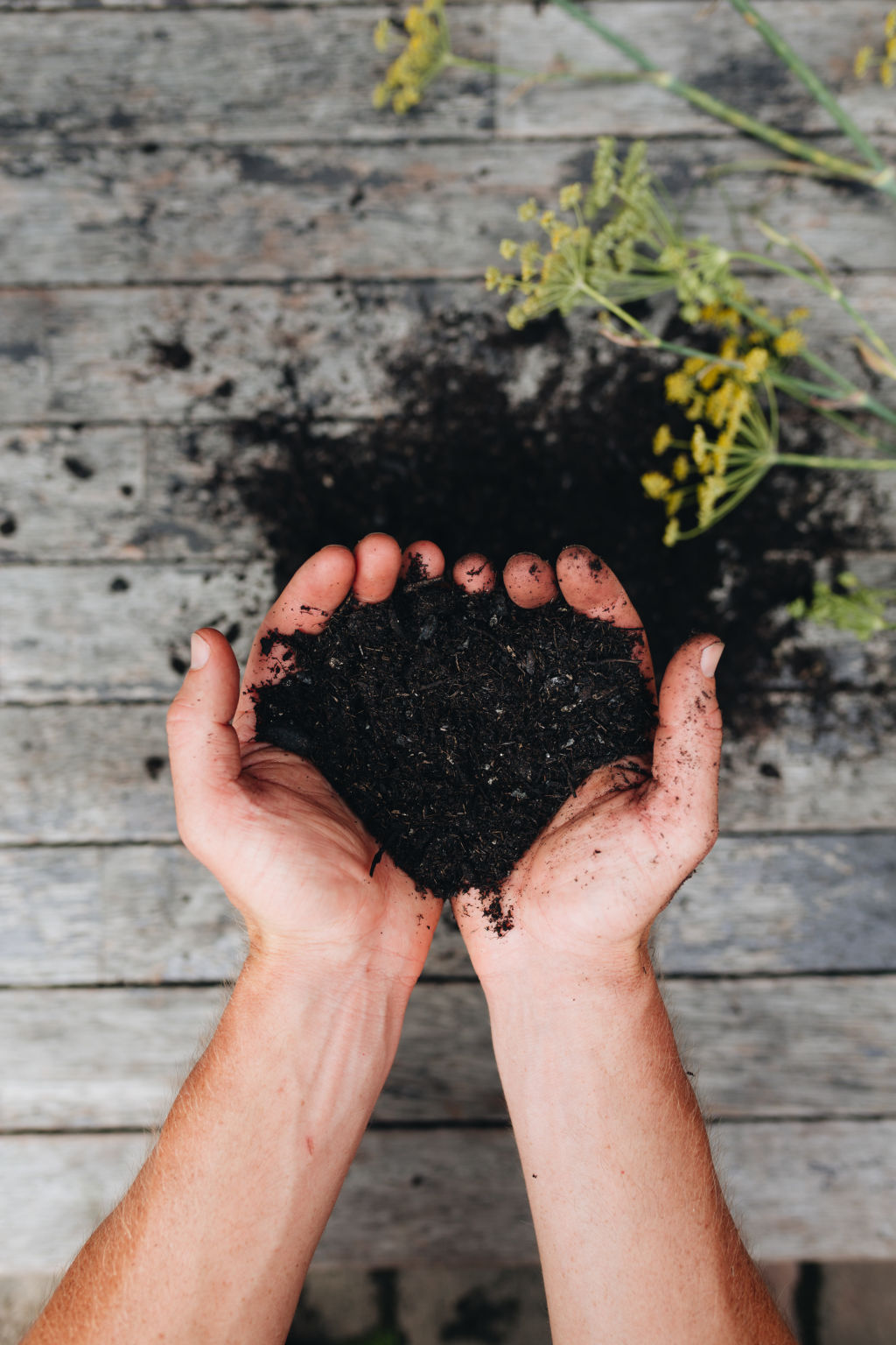 Unfortunately, you simply can’t buy biologically rich compost off the shelf. Photo: Alex Carlyle