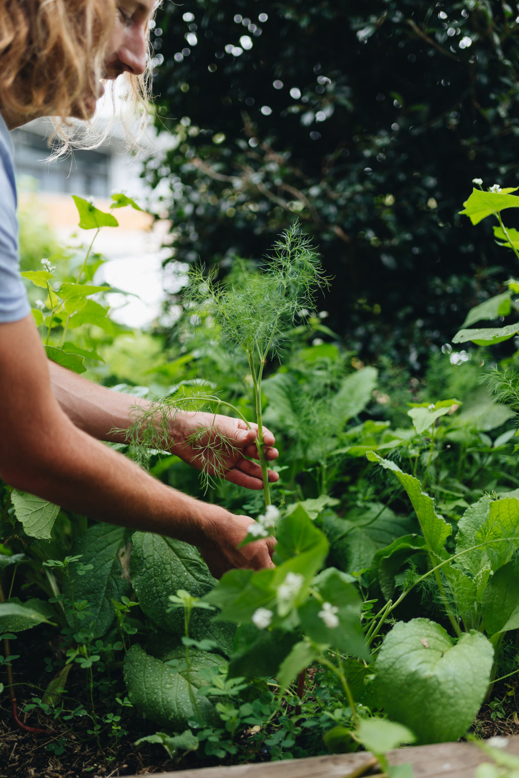 Getting the most out of your edible garden applies to what you do with it once it lands on your kitchen bench, too. Photo: Alex Carlyle