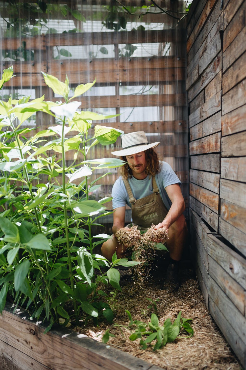 Try buying some smaller plants that encourage bees.  Photo: Alex Carlyle