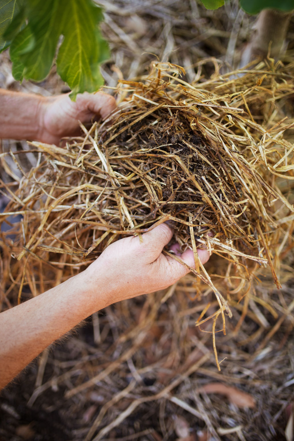 Prepare your garden beds by adding some bags of compost (or your own) and then some bagged manure. Photo: Alex Carlyle