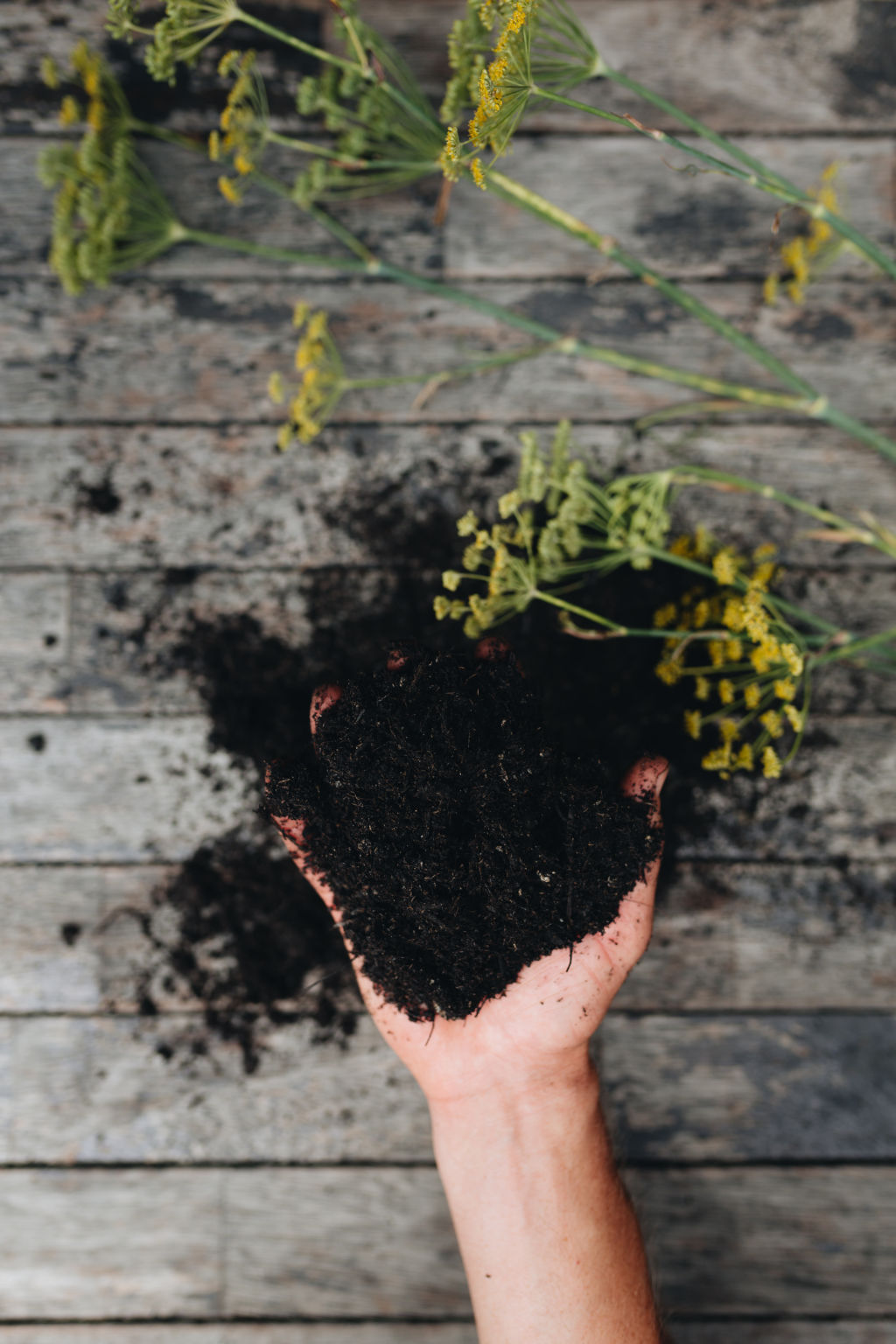 Creating your own compost is an easy addition to building a healthy soil. Photo: Alex Carlyle.