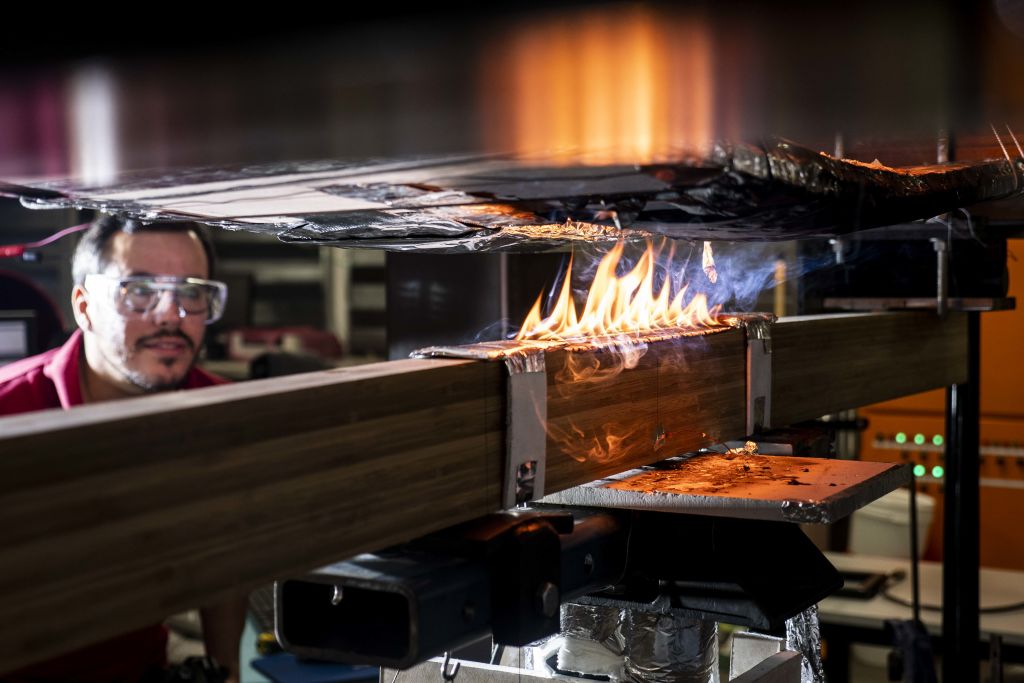 In a fire, a layer of char will protect the rest of the wood.  Photo: University of Queensland