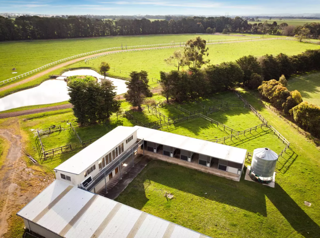 Horse stud owners take a punt on spring auction market