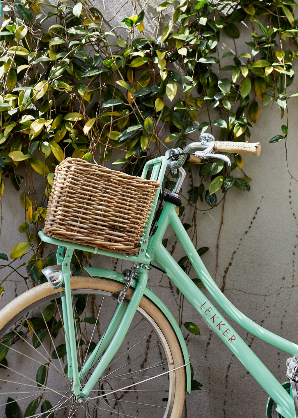 Lekker bike. Photo: Amelia Stanwix.