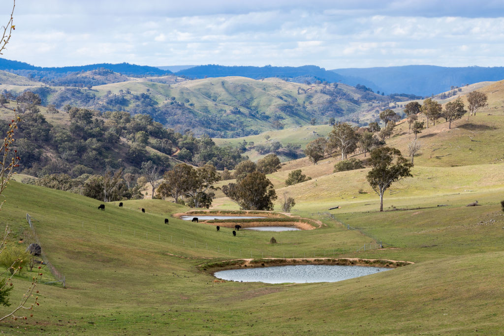 Historic Bannaby Station and Cross Station, near Taralga, have been listed by former Showtime boss Peter Rose.. Photo: Supplied