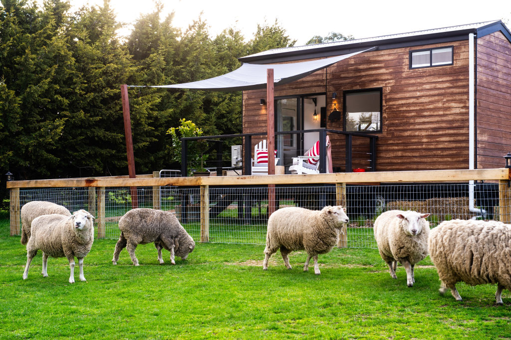 Tiny house guests get to stay in the thick of it all. Photo: Bhumi Organic Cotton