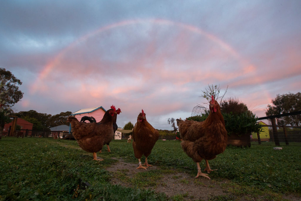 Despite the animals, it can be dead quiet at night time. Photo: Supplied