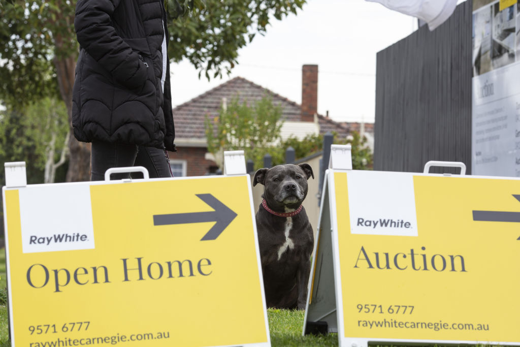 Auction clearance rates are at the highest they've been in two years. Photo: Stephen McKenzie