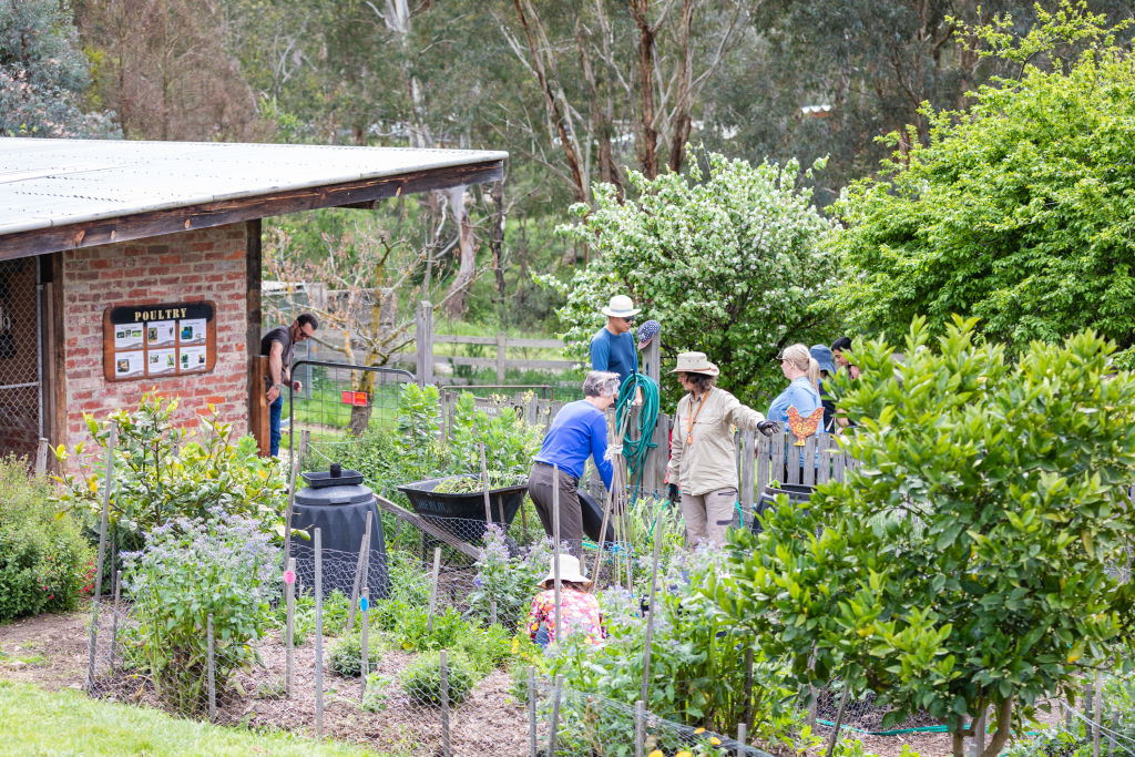 Self-sufficient: The top towns in Australia where you can live a sustainable life
