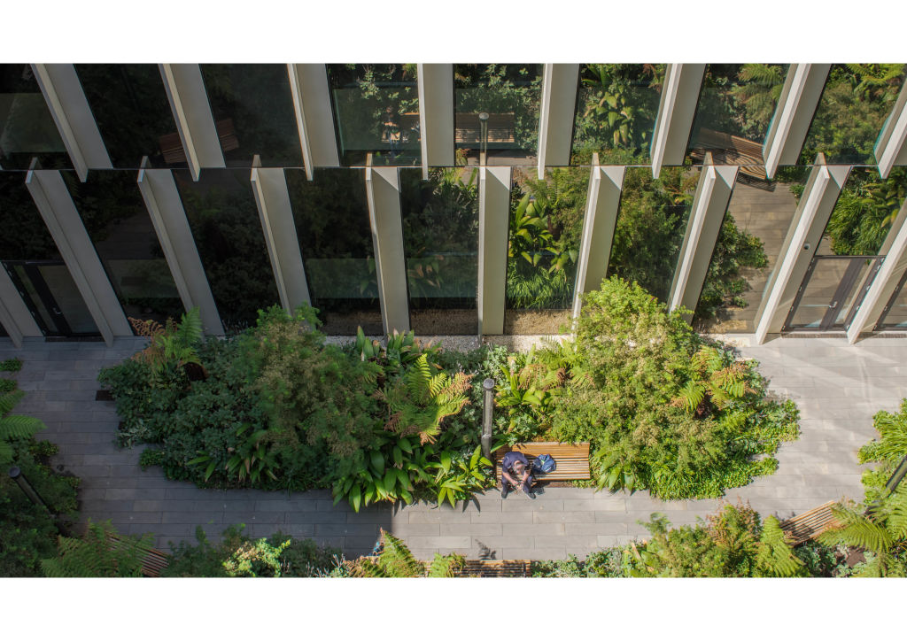 The Bendigo Hospital Civic Landscape. Photo: Australian Institute of Landscape Architects